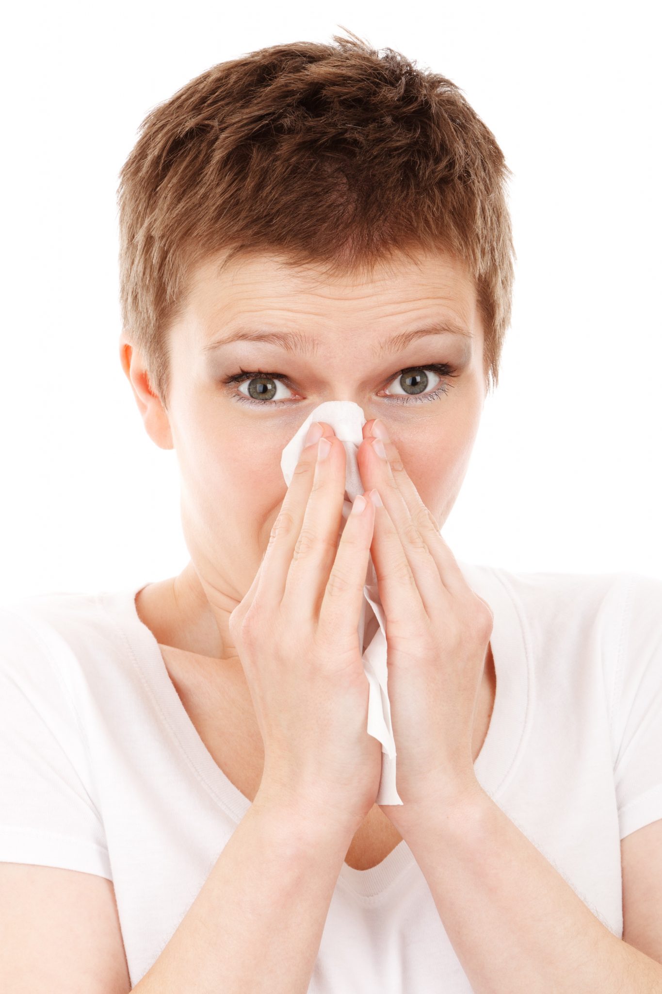 allergy-cold-disease-flu-41284
